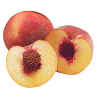 Babcock Peach Tree